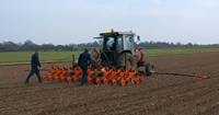Sugar beet drills image